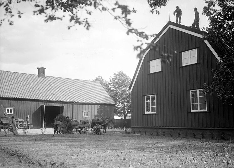 Idrottsgården under Lantbruksutställningen 1923 - Foto_Kamerareportage, TT