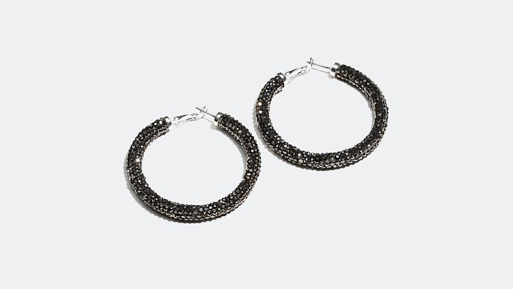 Earrings - 179 kr