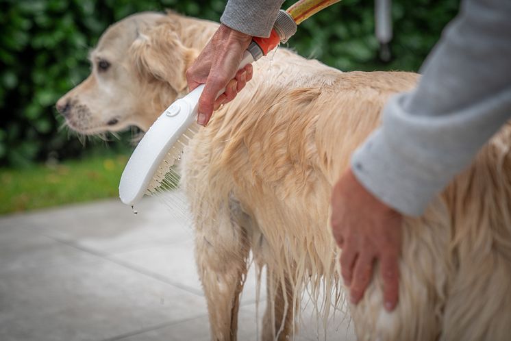 hansgrohe DogShower