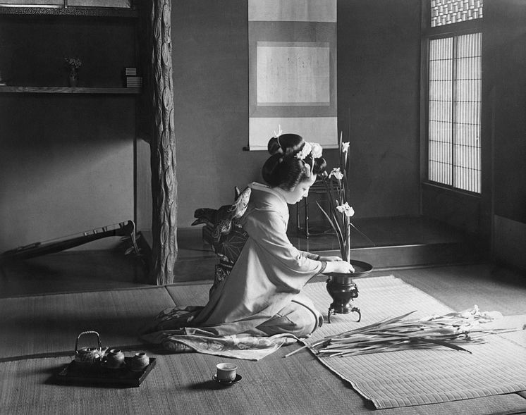 Tokonomo med Geisha. Ida Trotzigs fotosamling, Världskulturmuseerna