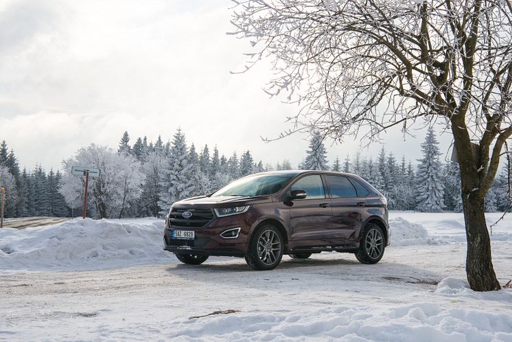 Ford Edge (33)