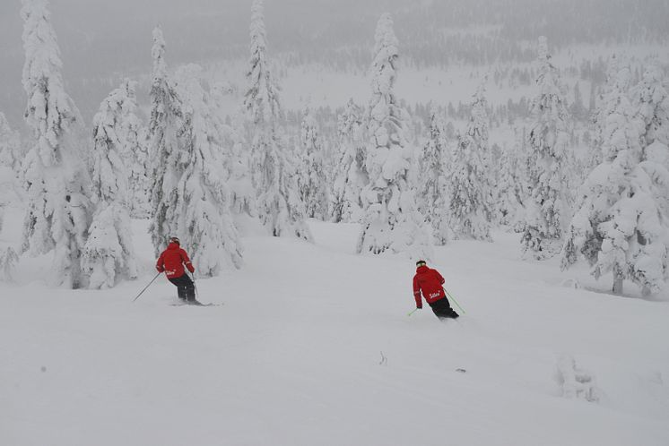 PUDERÅKNING