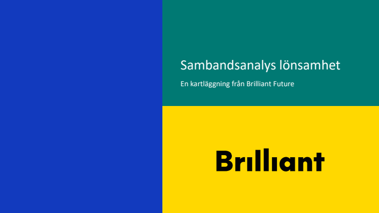 Brilliant Future pressunderlag - sambandsanalys lönsamhet .pdf