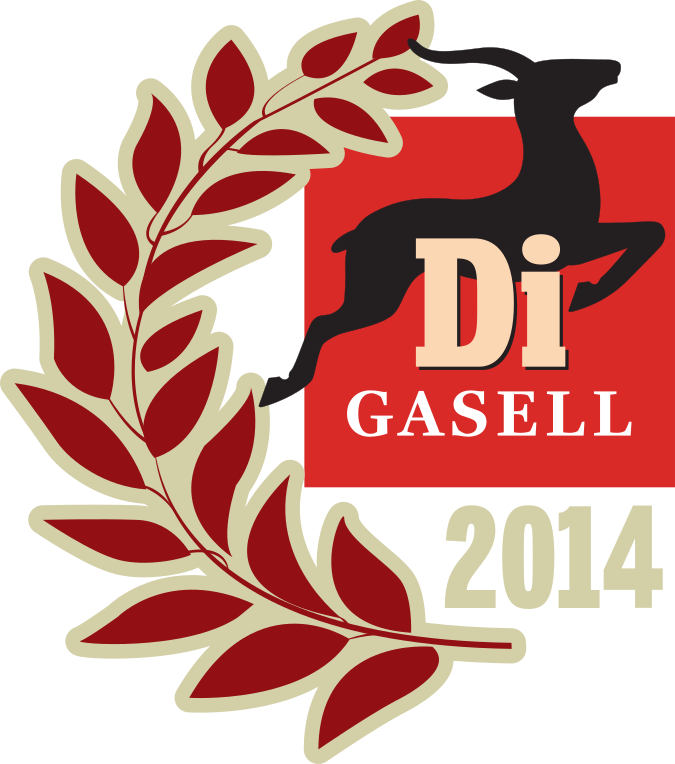 Dagens Industri Gasell 2014