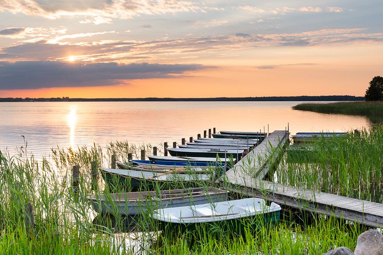 Joachimsthal_Boote_liegen_im_Sonnenaufgang_am_Steg_am_Grimnitzsee.jpg