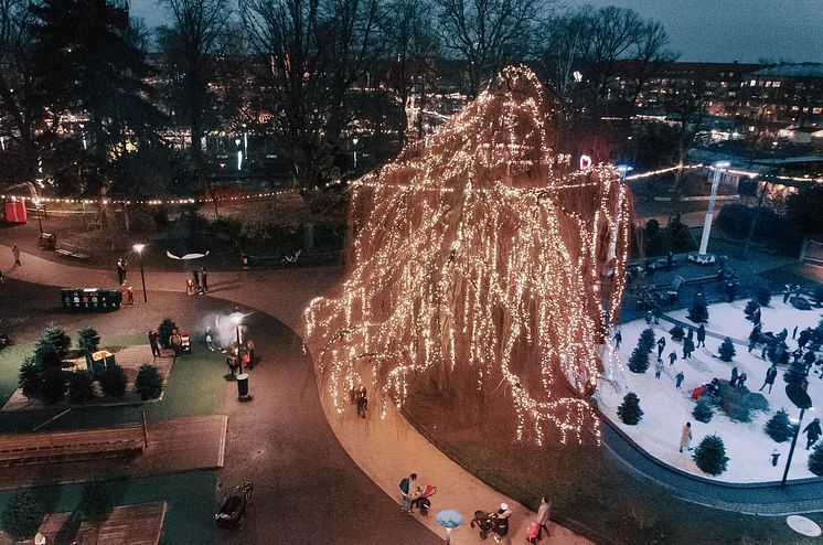 Vinterdröm i Folkets Park