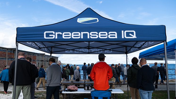 Greensea IQ