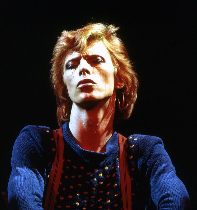 Bowie (Dagmar Photo)