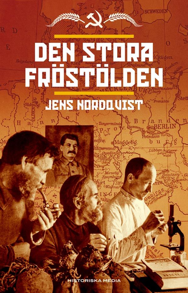 Den stora fröstölden