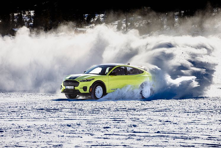 2024 Mustang Mach-E Rally Gol (3).jpg