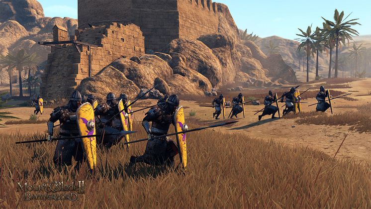 Mount & Blade II: Bannerlord - Captain 1