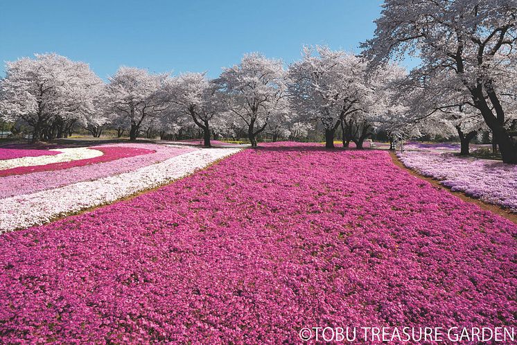 Tobu Treasure Garden