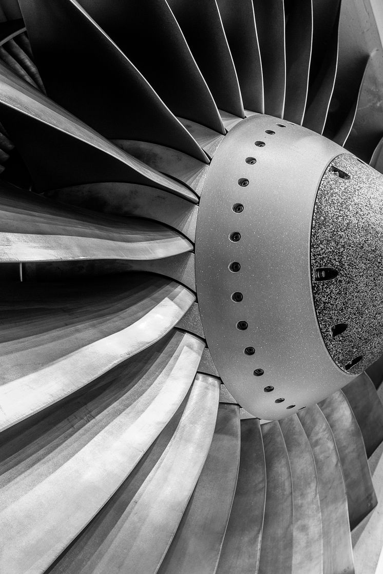 Engine fan blade of a 737-800 aircraft