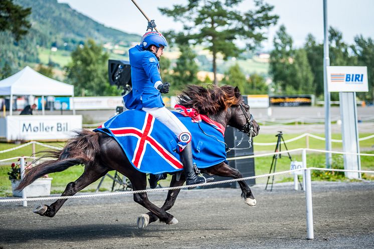 Islandshästar intar Jönköping