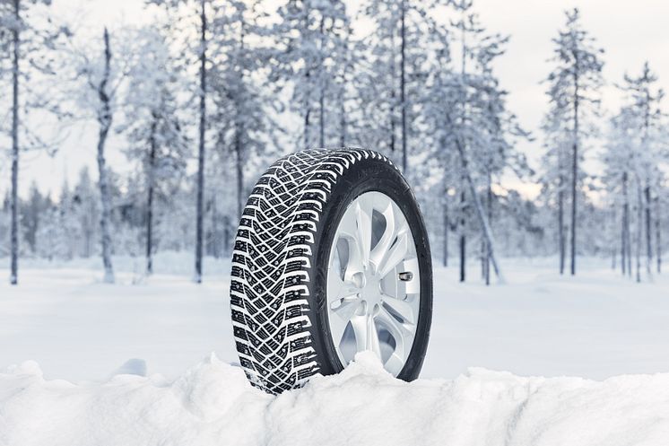 Goodyear UltraGrip Arctic 2- 6