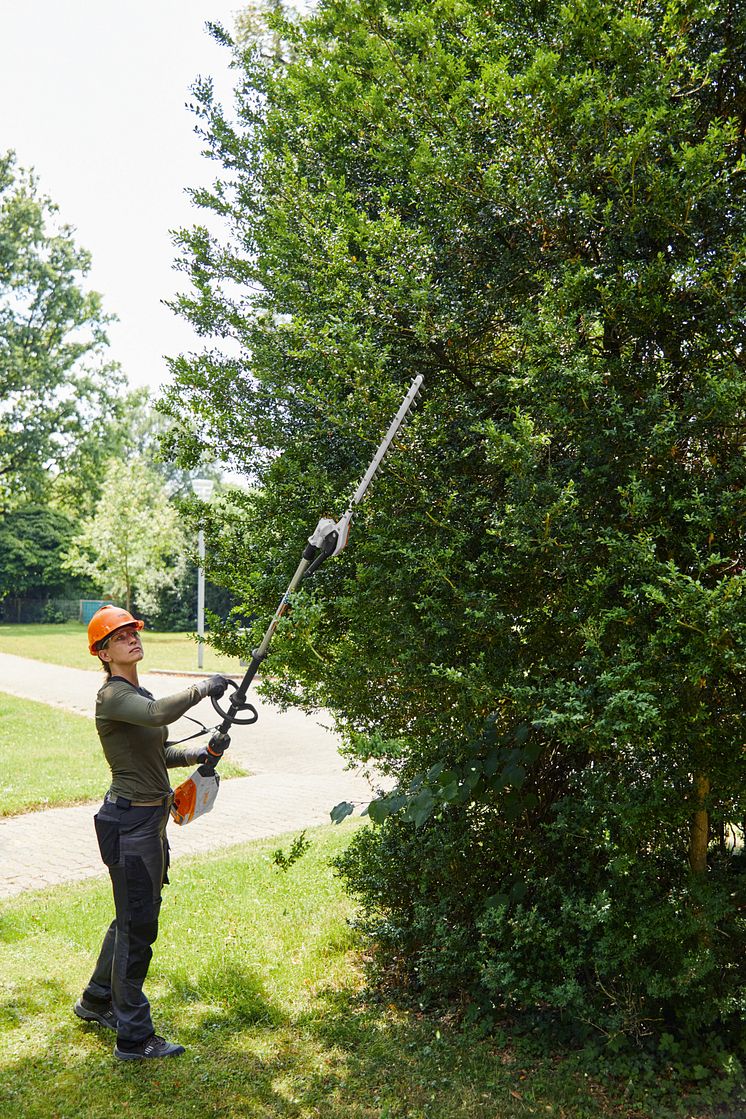 STIHL HLA 135 hekktrimmer gjør arbeidet i høyden enklere. 