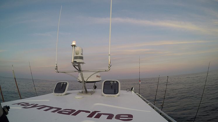 High res image - Raymarine - Fish Tales