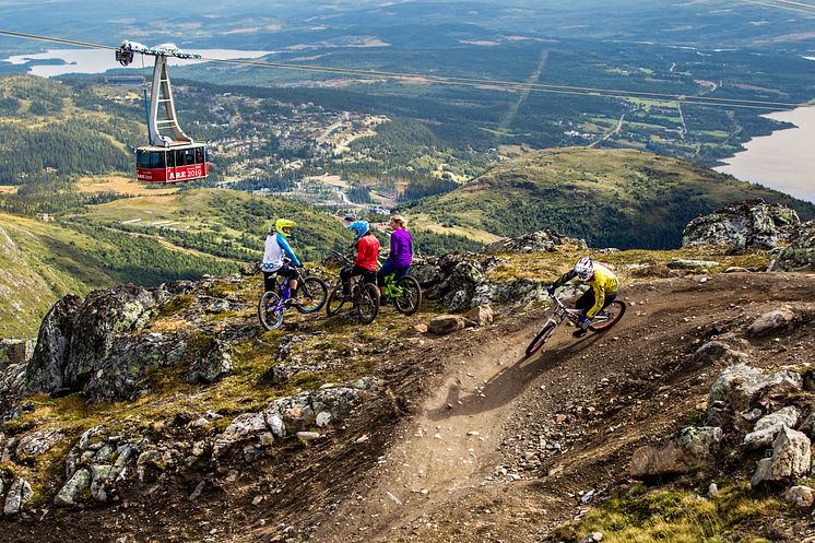 Cykling i Åre Bike Park