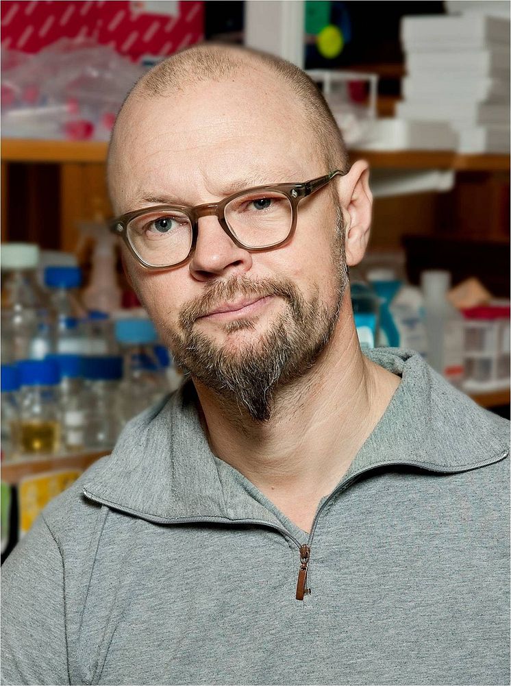 Håkan Hedman.jpg