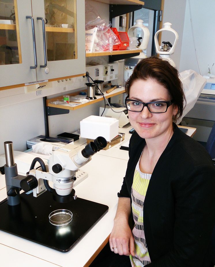 Hilda Ahnstedt, forskare inom experimentell kärlforskning vid Lunds universitet 