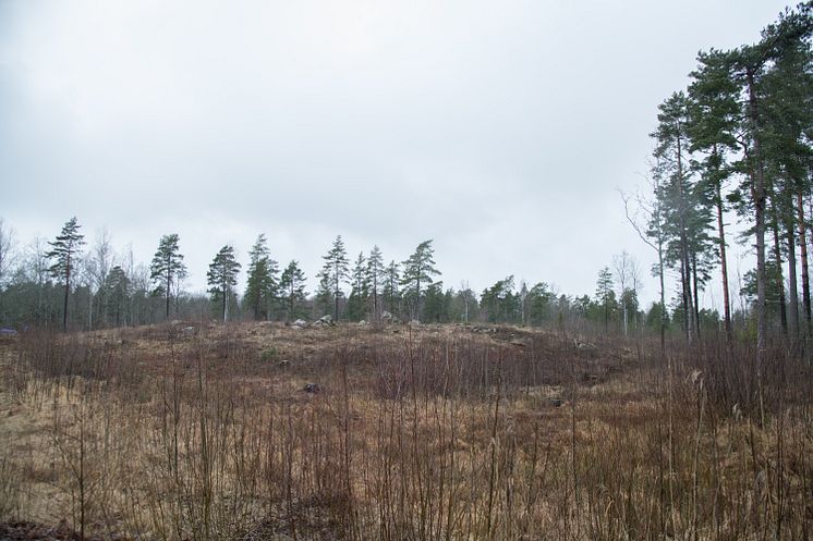 Första spadtaget för Lyra, Örebro kommuns nya vattenreservoar! 