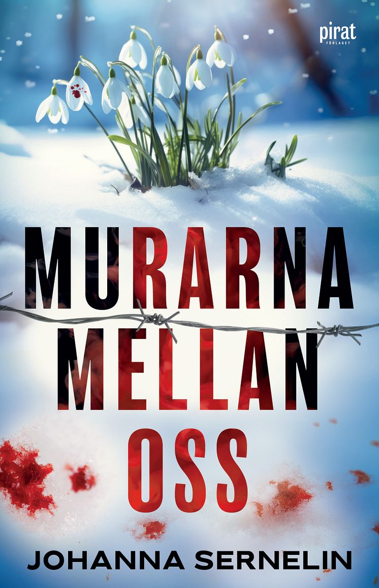 Murarna mellan oss.jpg