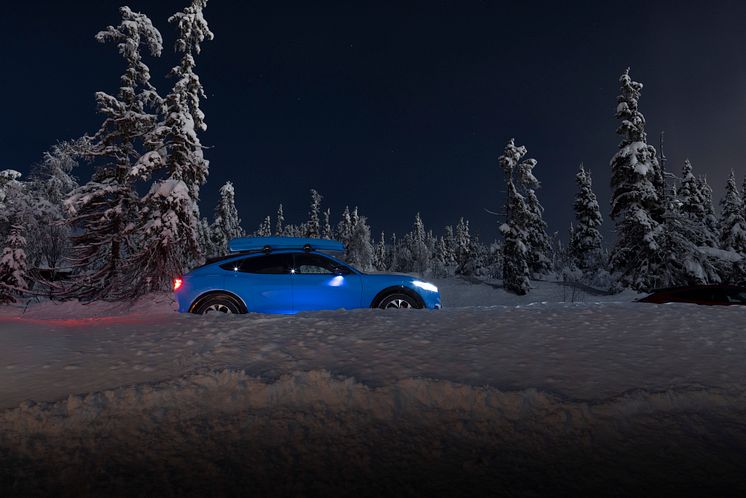 Ford Mustang Mach-E Vinter 2022