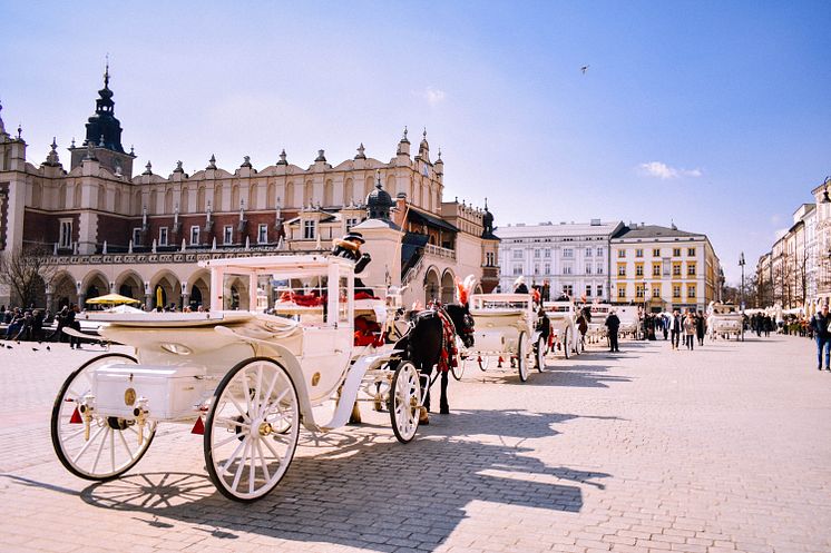 Radonkonferens Krakow