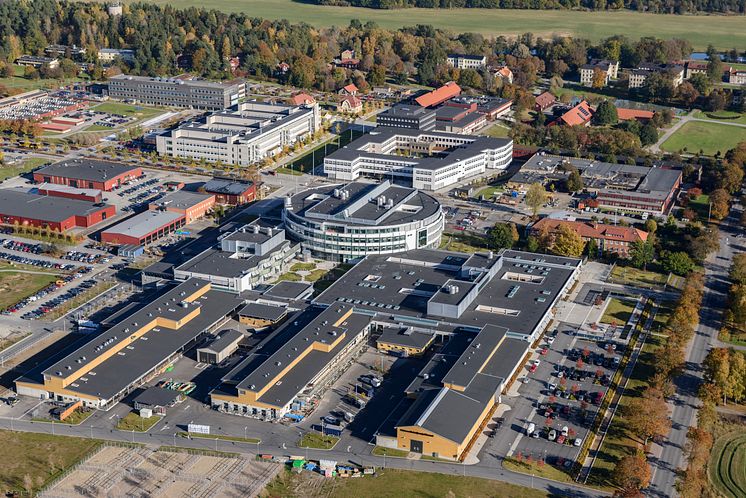 Flygbild Campus Ultuna inklusive gula stallar