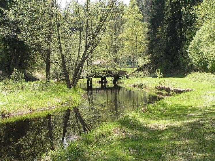 Vy mot Fäboden i Säterdalen