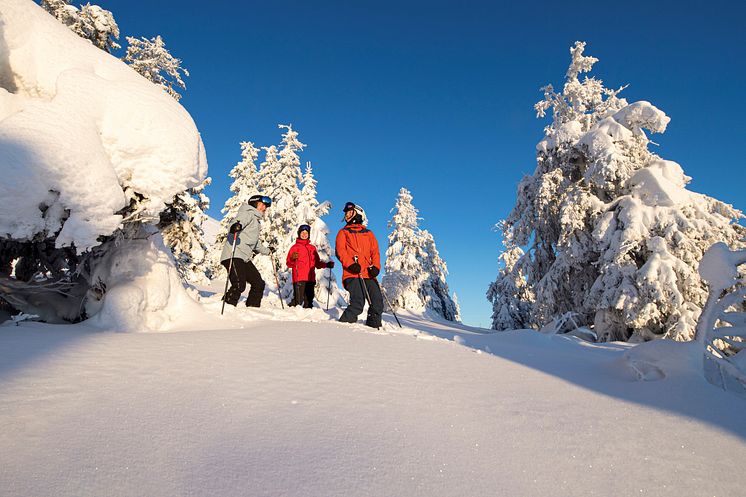 Trysil - Photo - Ola Matsson - SkiStar