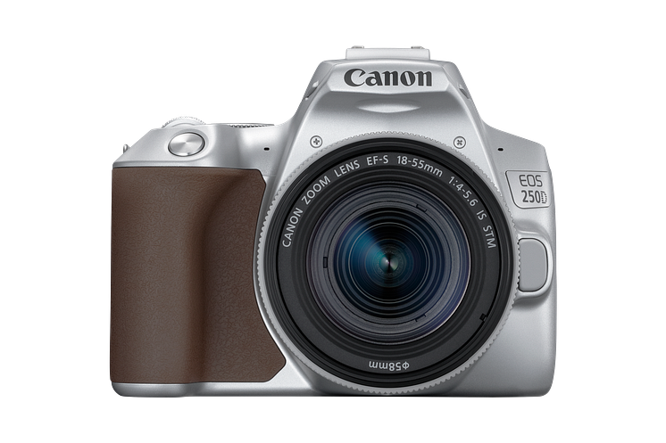 Canon EOS 250D Silver