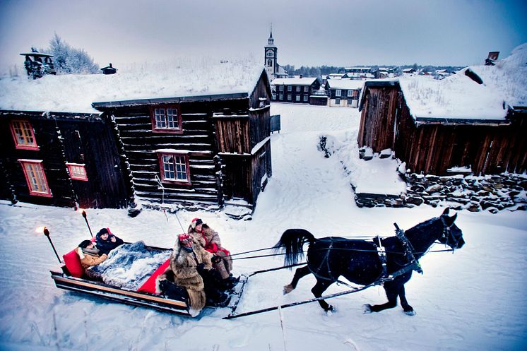 Kos at  Røros-Photo - Thomas Rasmus Skaug - VisitNorway.com.jpg