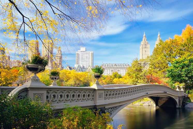 DEST_USA_NEW_YORK_BOW_BRIDGE_GettyImages-149456359_Universal_Within usage period_93686 (1).jpg