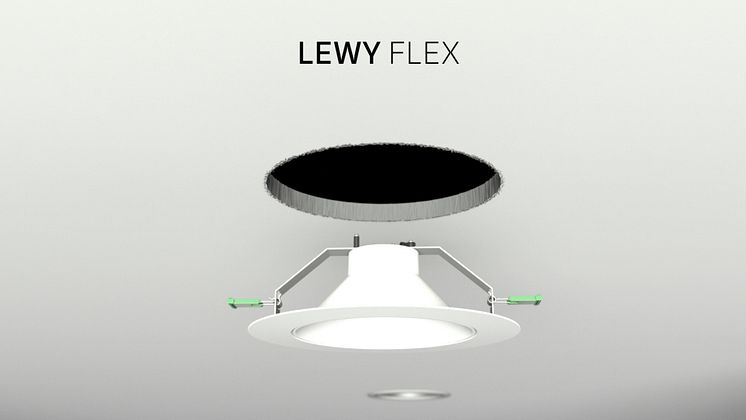 Lewy-Flex-04