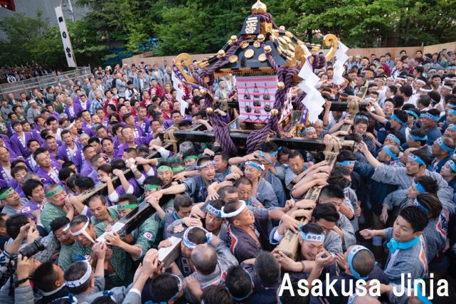 Sanja Matsuri(2)