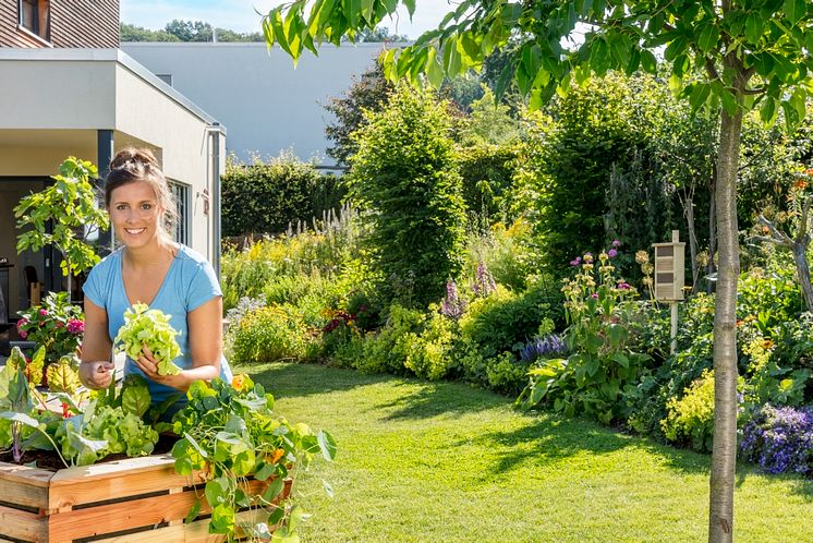 11_Raised bed_lettuce_harvest_Neudorff.jpg