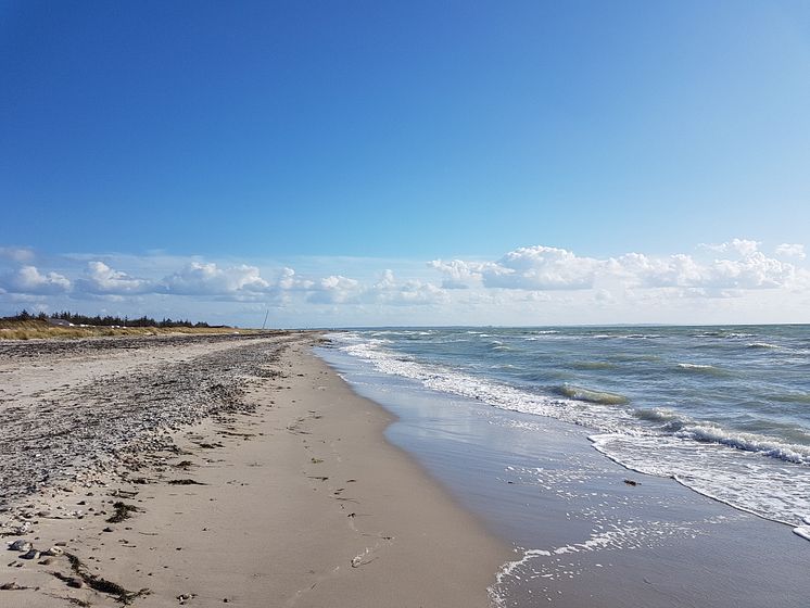 Strand in Flügge