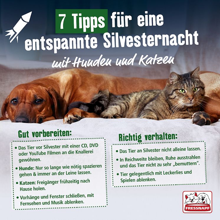 7 Tipps für eine entspannte Sylvesternacht