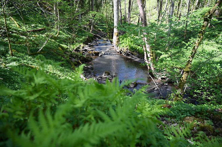 Kärraån