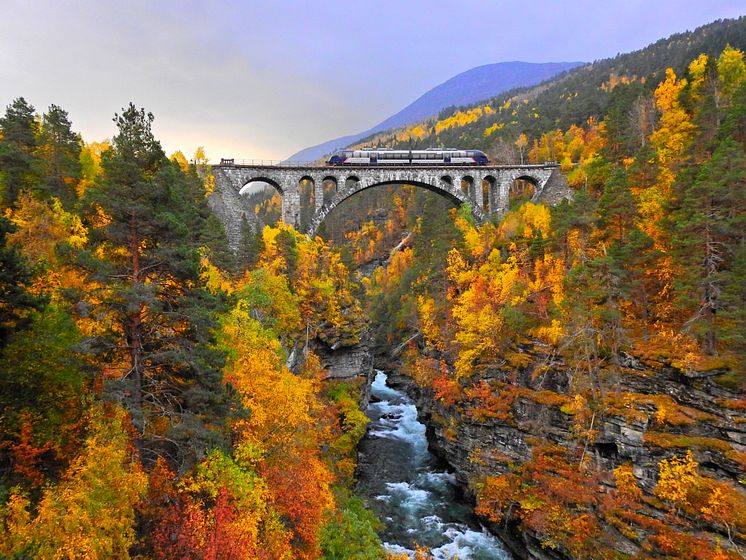 Train on Kylling Bridge - Railway bridge in Rauma-Leif Johnny Olestad - Visit Norway