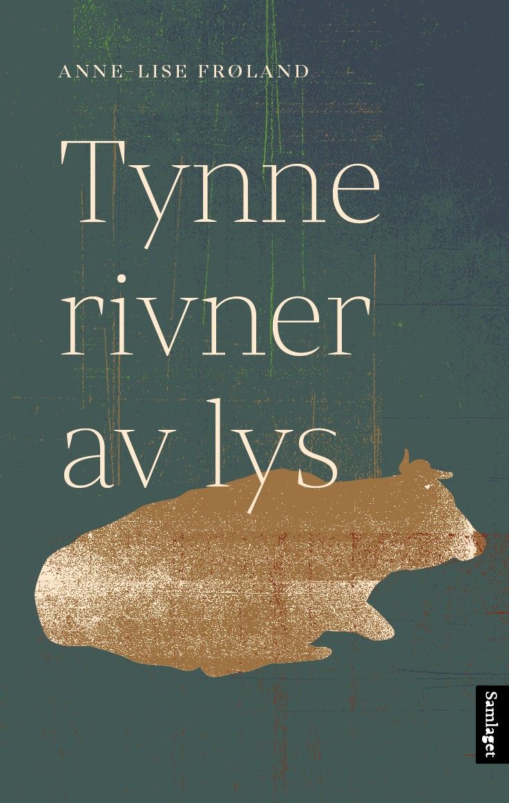 9788234014871 Tynne rivner av lys_RGB.jpg