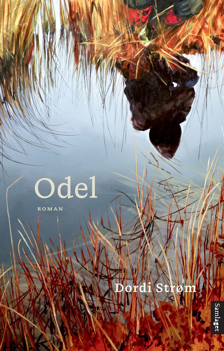 9788234008160 Odel