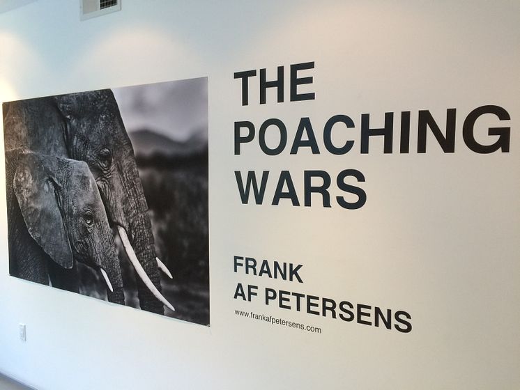 The Poaching Wars i Santa Monica