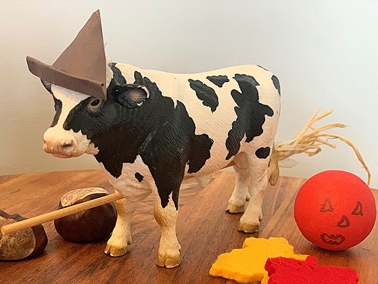 Halloween cow