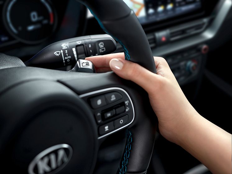 Kia e-Niro 2020 detail