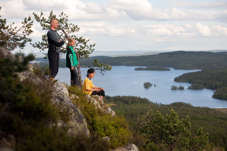 Ärtknubben Dalarna Foto Per Eriksson