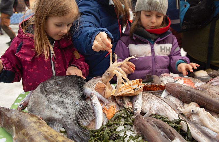 Spektakulær fiskeutstilling på Geitmyra 