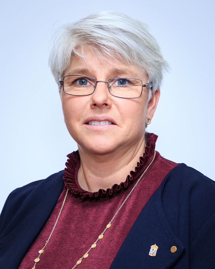 Kristina Höök Patriksson