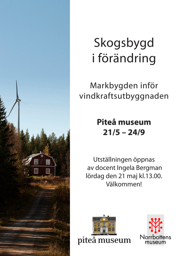 Skogsbygd i förändring - Markbygden inför vindkraftsutbyggnaden